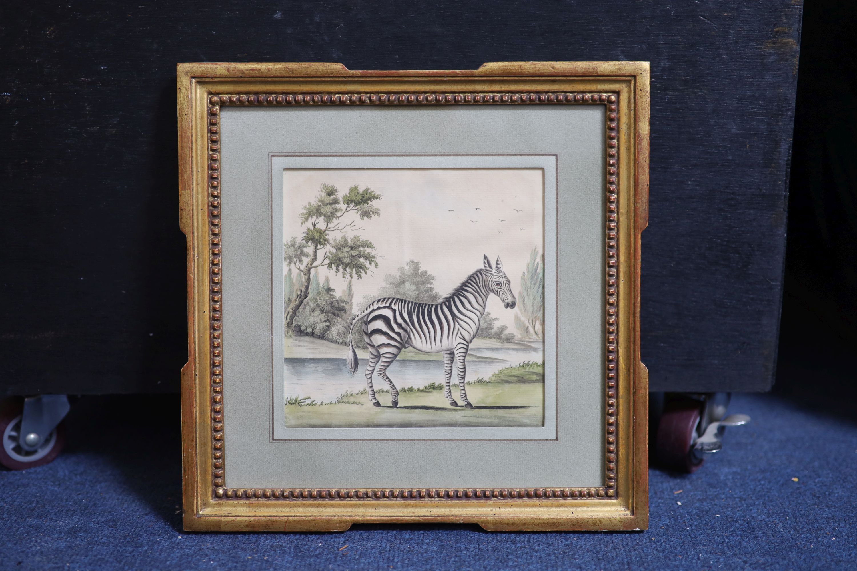English School c.1780 , Zebra in a South African landscape, watercolour on paper, 15 x 15cm